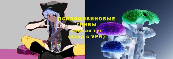 2c-b Беломорск
