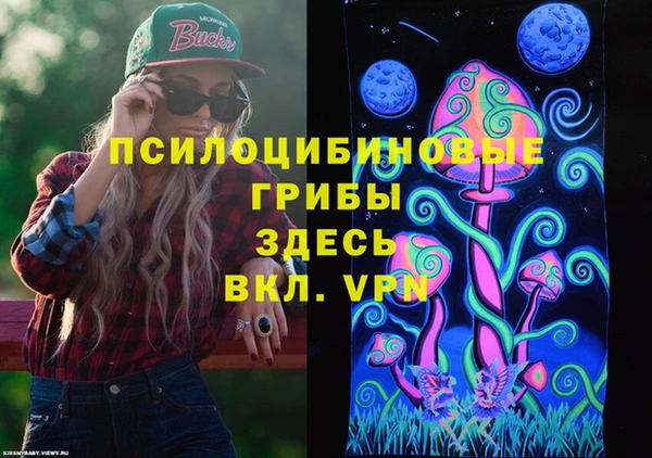 2c-b Беломорск