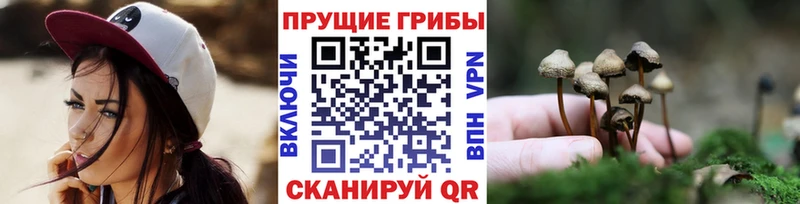Псилоцибиновые грибы ЛСД  Гремячинск 